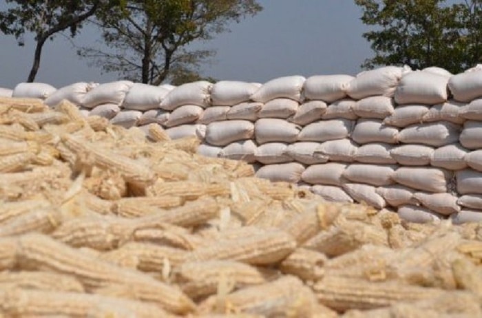 imported maize scandal in kenya